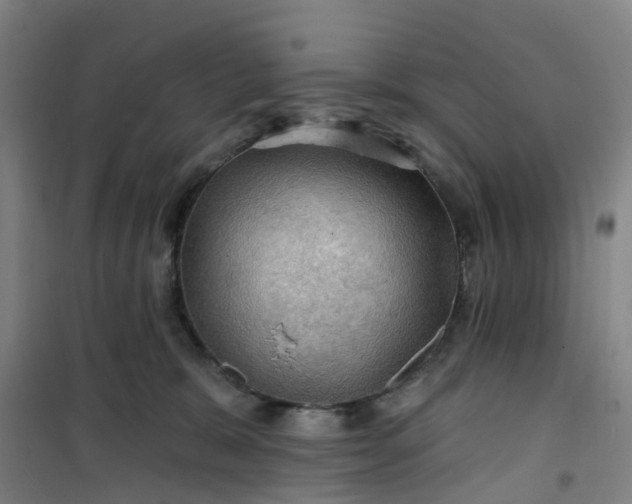 X0000101090327200807101554