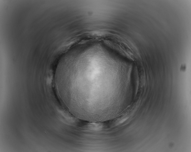 X0000101090328200807101554