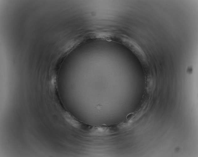 X0000101090329200807101554