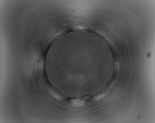 X0000101090331200807101554