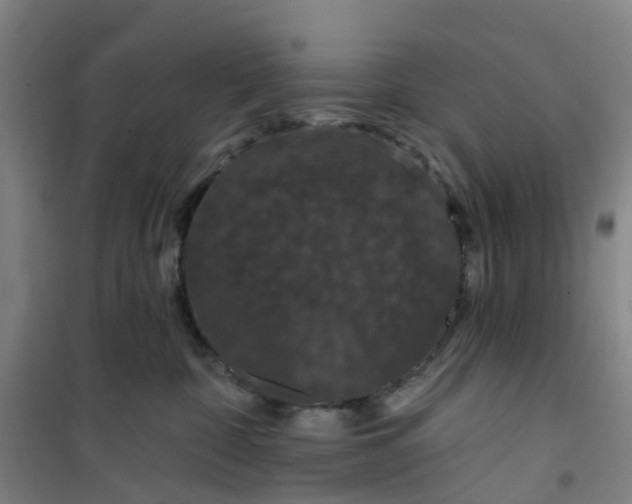 X0000101090332200807101554