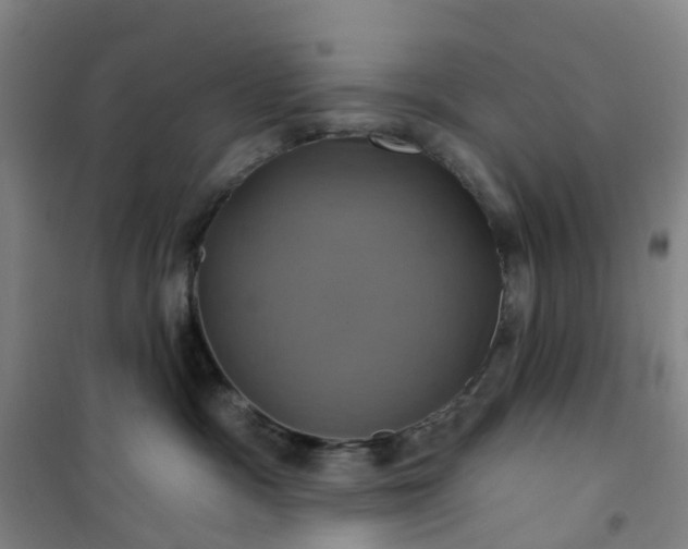 X0000101090333200807101554