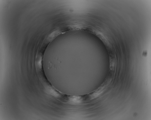 X0000101090334200807101554