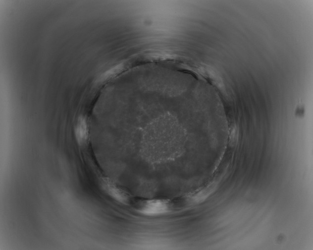 X0000101090335200807101554