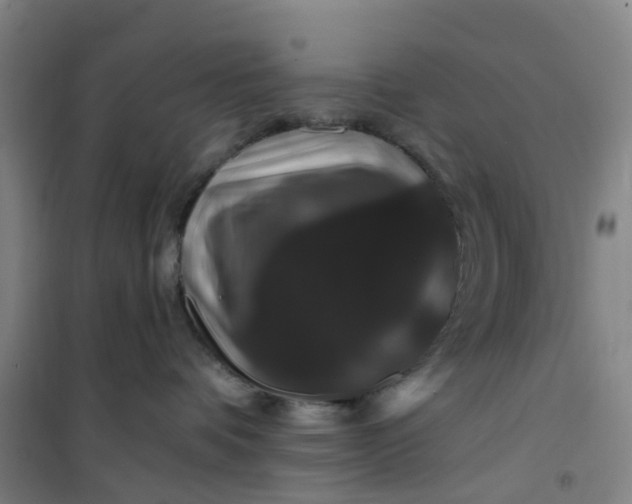 X0000101090336200807101554