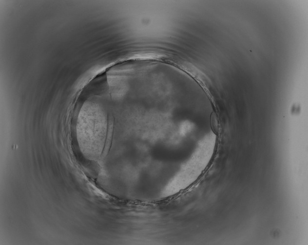 X0000101090337200807101553