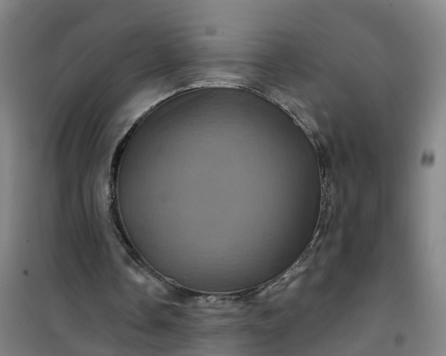 X0000101090338200807101553