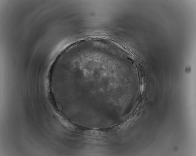 X0000101090339200807101553