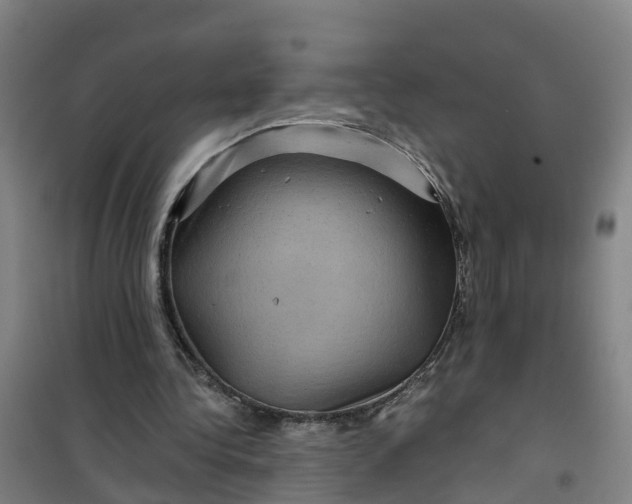 X0000101090340200807101553