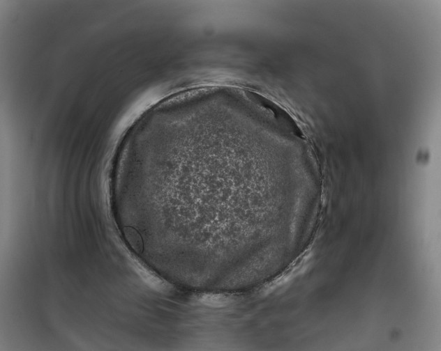 X0000101090341200807101553