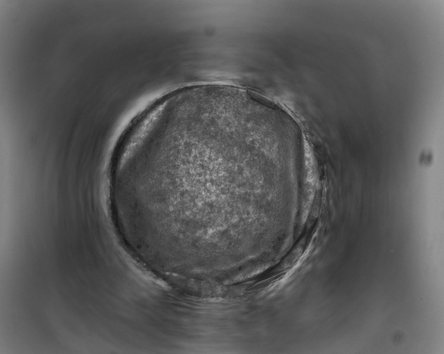 X0000101090342200807101553