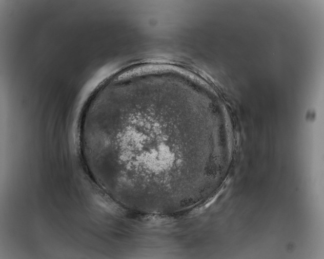 X0000101090343200807101553