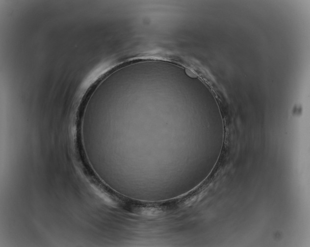 X0000101090344200807101553