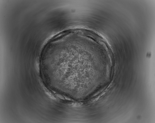 X0000101090345200807101553