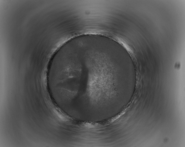 X0000101090346200807101554