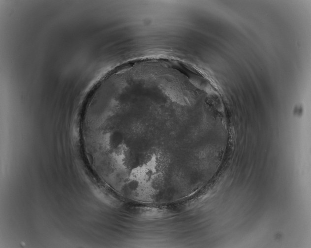 X0000101090347200807101554