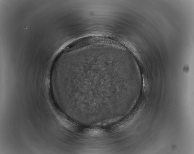 X0000101090348200807101554