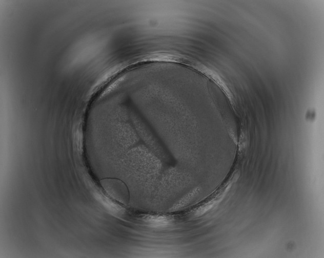 X0000101090349200807101554