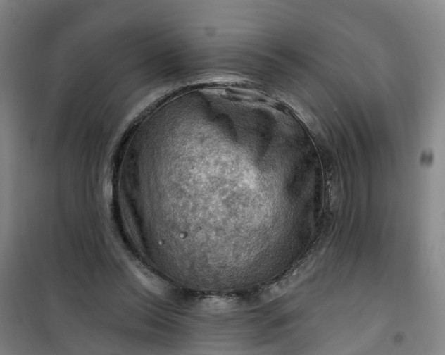 X0000101090350200807101554