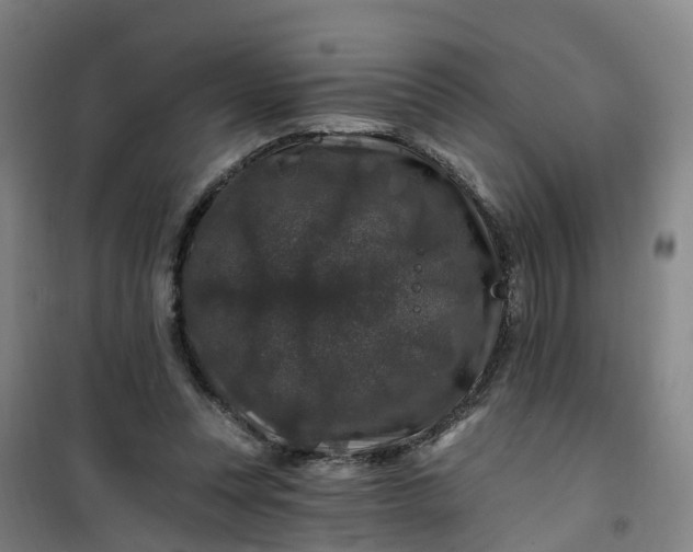 X0000101090351200807101554