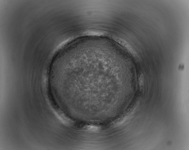 X0000101090352200807101554