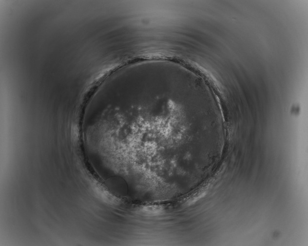 X0000101090353200807101554