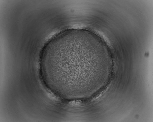 X0000101090354200807101554