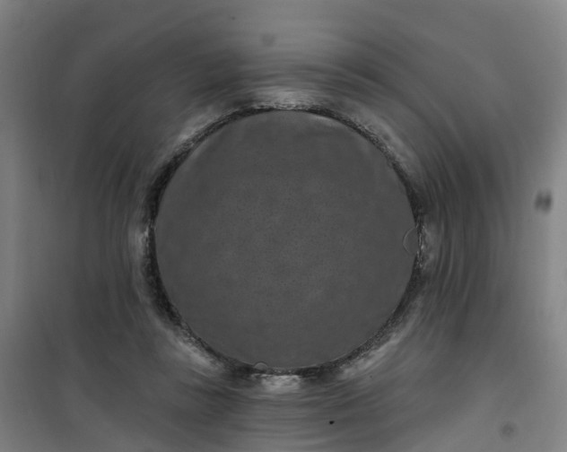 X0000101090355200807101554