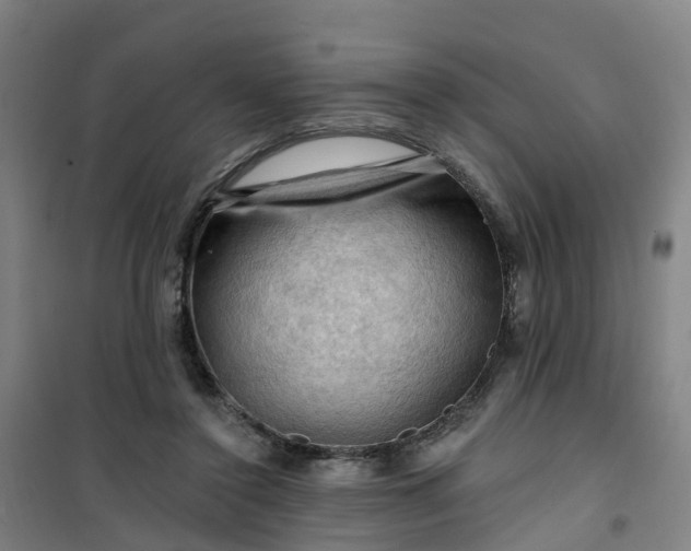 X0000101090356200807101554