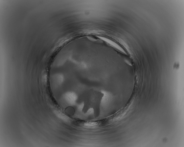 X0000101090357200807101554