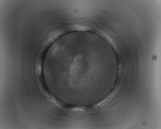 X0000101090358200807101554