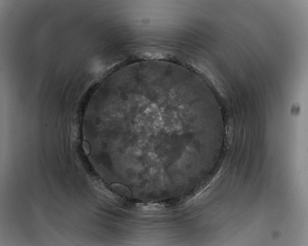 X0000101090359200807101554