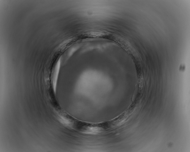 X0000101090360200807101554