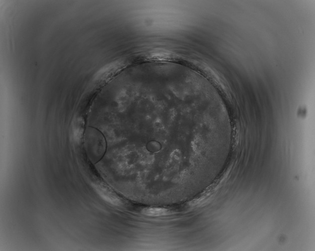 X0000101090361200807101554