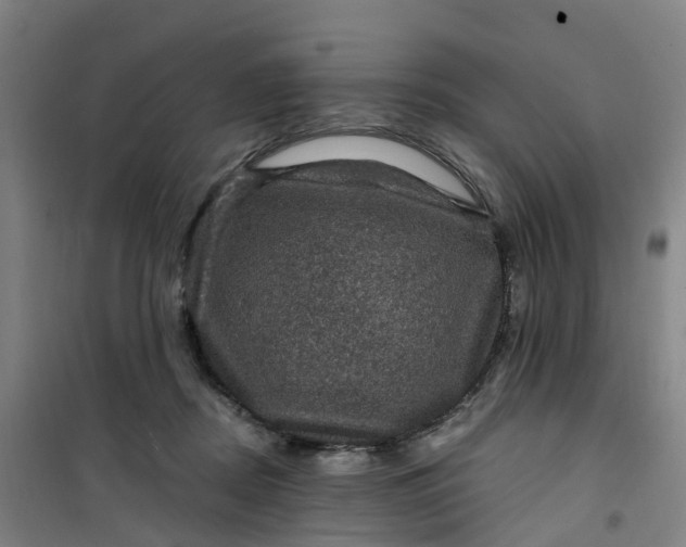 X0000101090362200807101554