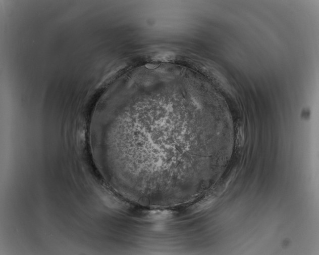 X0000101090363200807101554