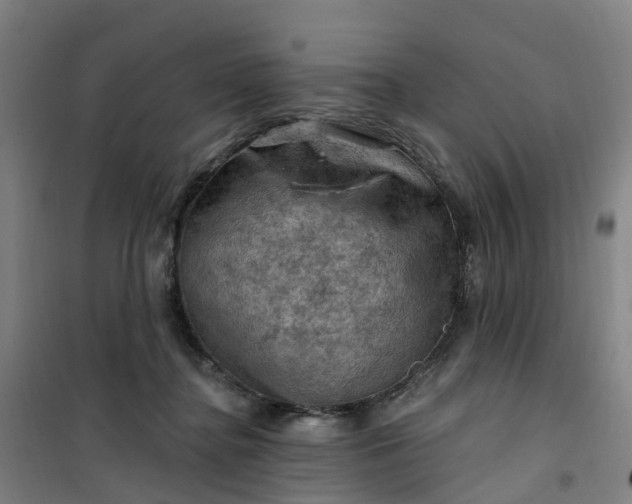 X0000101090364200807101554