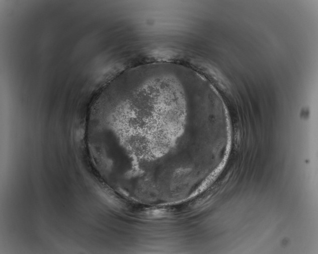 X0000101090365200807101554