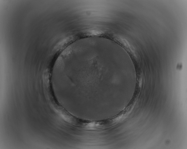 X0000101090366200807101554