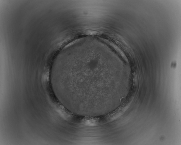 X0000101090368200807101554