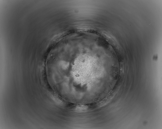 X0000101090369200807101554