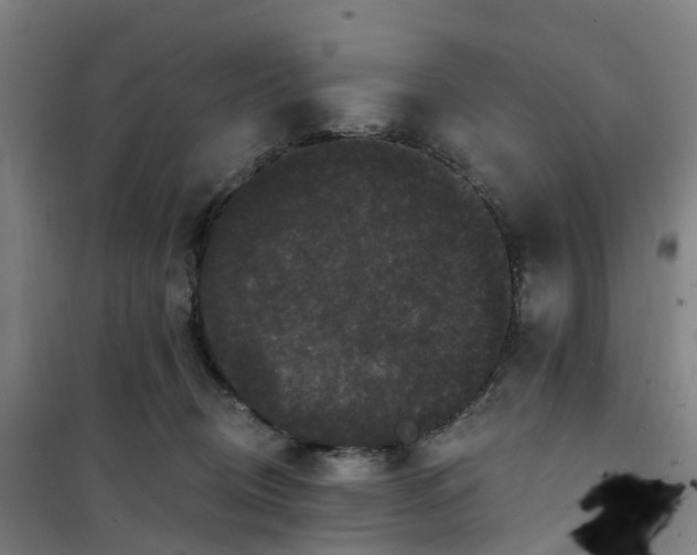 X0000101090370200807101554