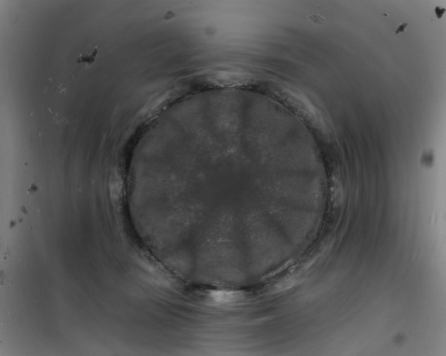 X0000101090371200807101554