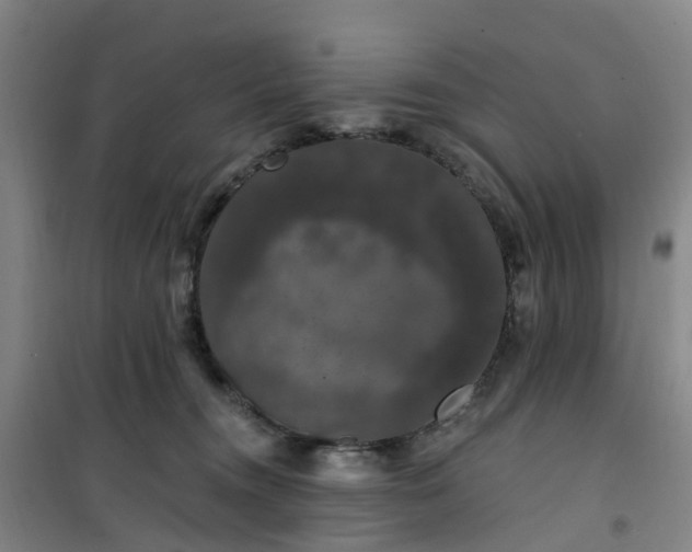 X0000101090372200807101554