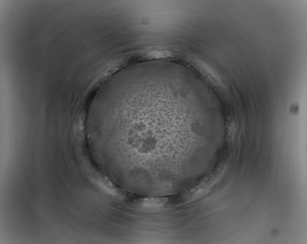 X0000101090373200807101554