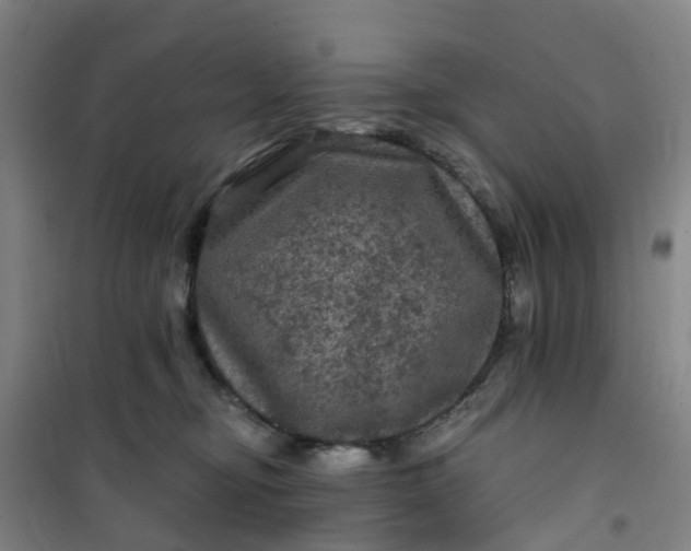 X0000101090374200807101554