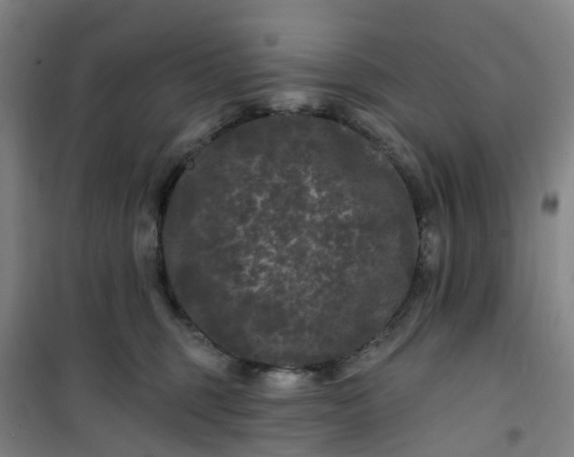 X0000101090375200807101554