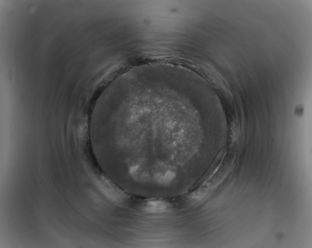 X0000101090376200807101554