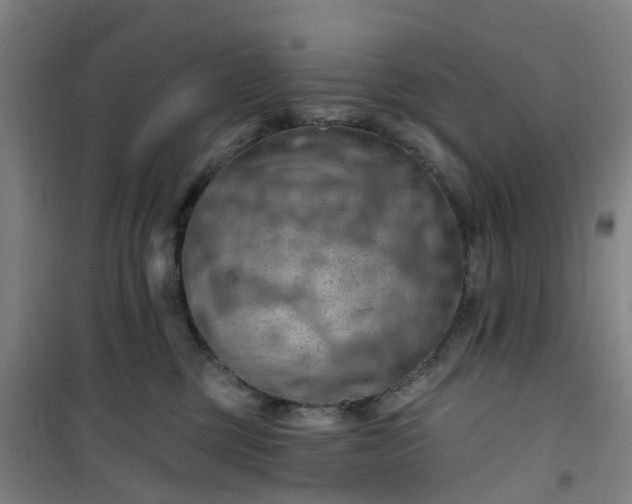 X0000101090377200807101554