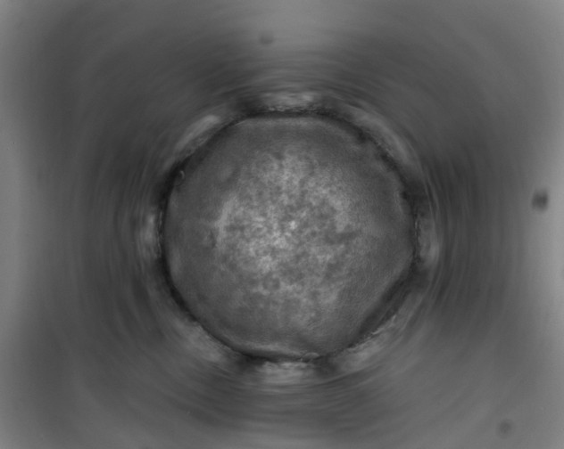 X0000101090378200807101554